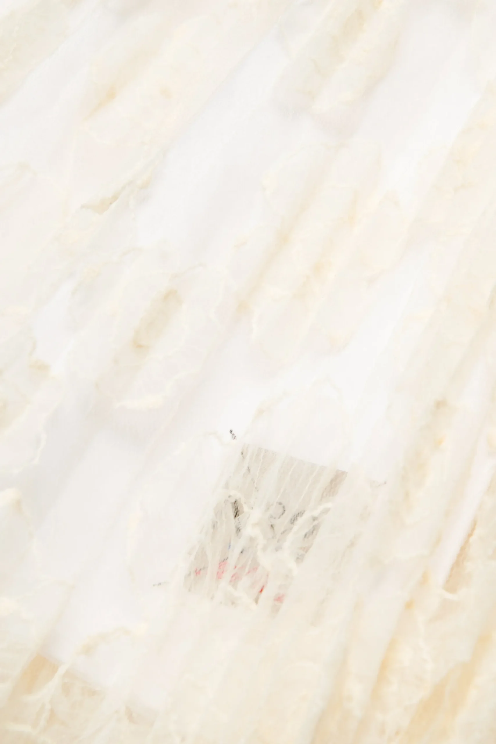 N°21 Gonna con fiori in organza ricamata | Gonne